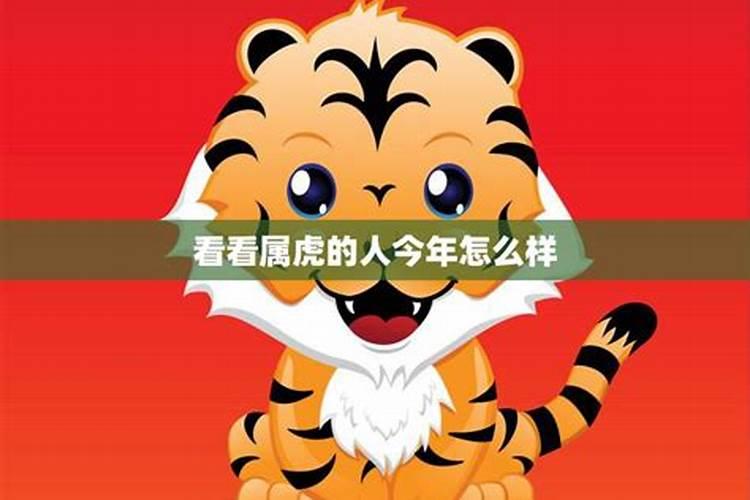 六月属羊2023年运势