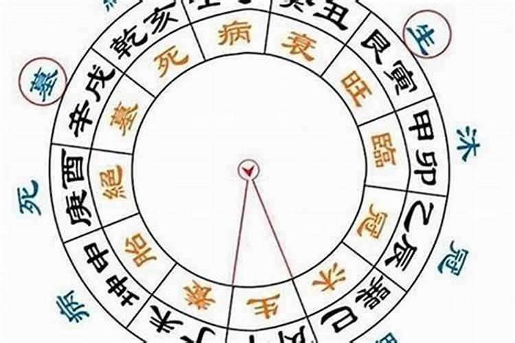 八字排盘哪里看十神