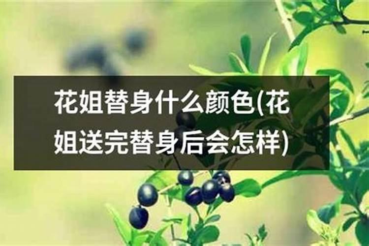 属兔出生的月份运程怎么样