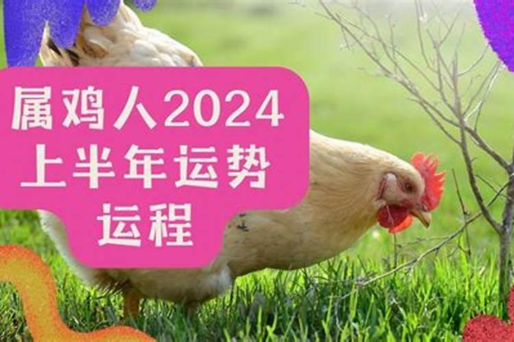 2024今年猪破太岁是那几岁