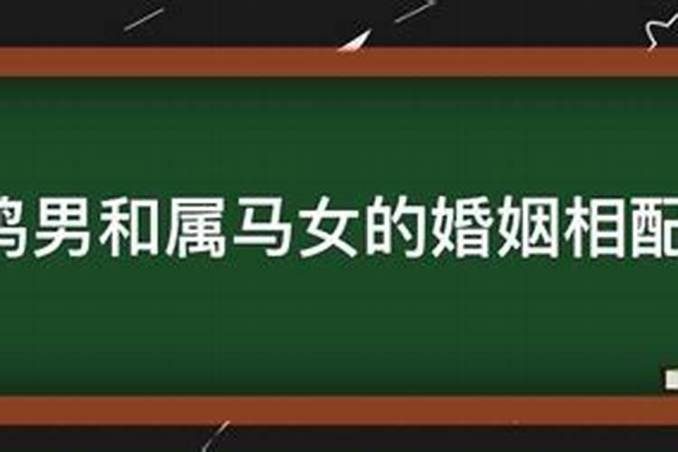 属马女性最佳婚配属相鸡