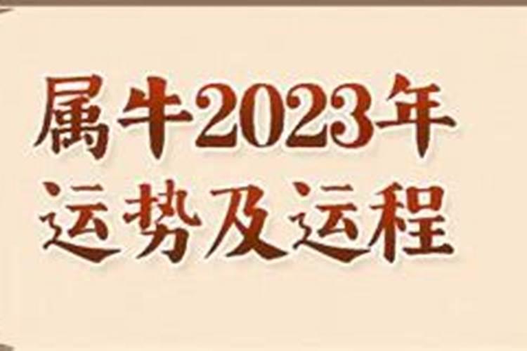 2023属牛人全年运势如何详解呢女生婚姻