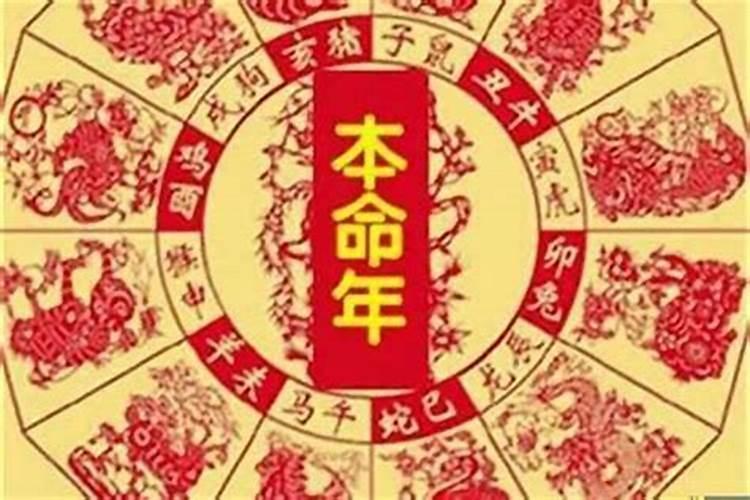 马年犯太岁的属相有什么