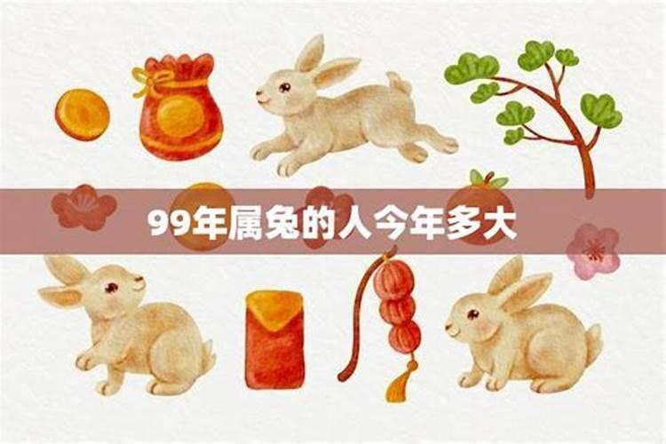 87年属兔的人今年多大