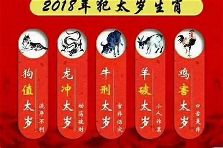 属蛇的运势2024年运势