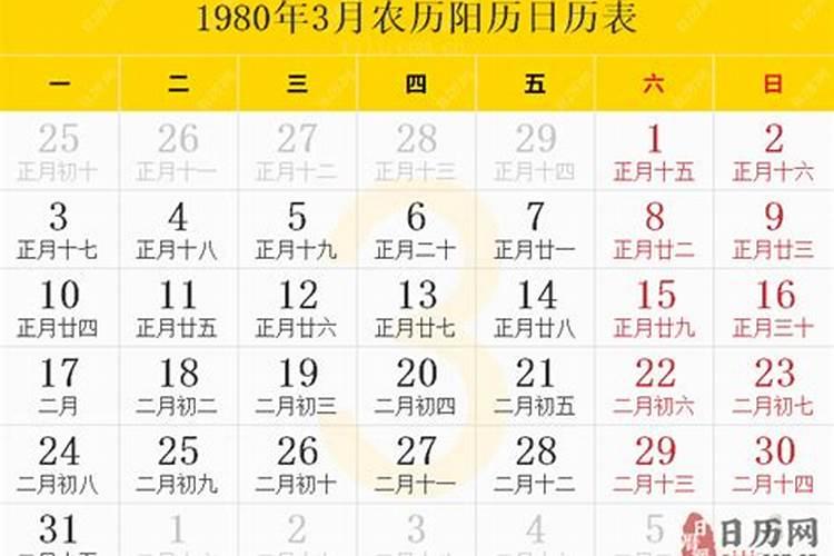 1985年正月初四出生2024运程