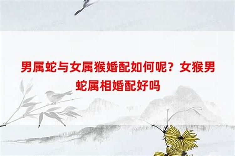 牛今年犯什么太岁