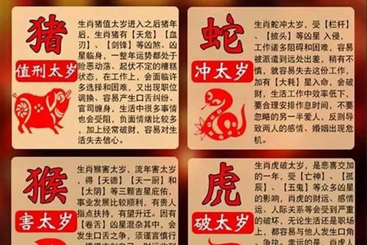 2019年犯太岁的是什么