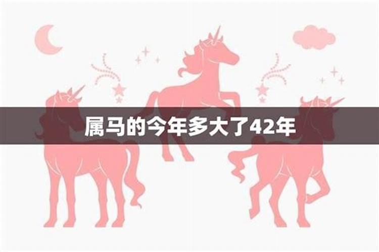 马属马今年运气如何