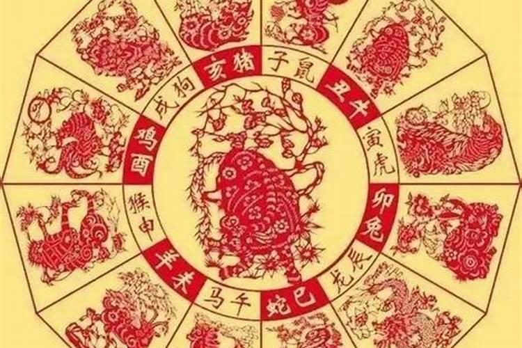 属马的人今年运势怎么样,2020