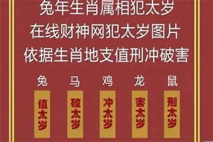 2021化解犯太岁最佳方法视频