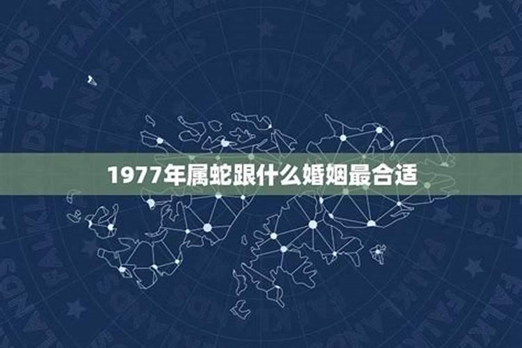 1977年属蛇配什么婚姻好一点