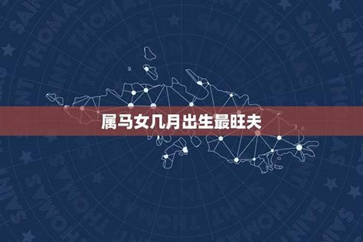 兔人在2024年运程怎么样