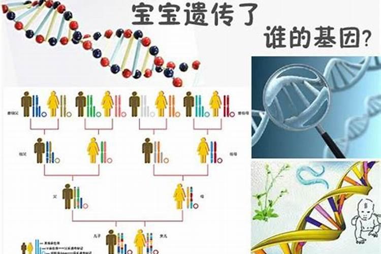 遗传基因的强大太可怕了,连婚姻都是一样可以遗传