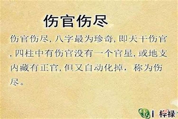 怎么用八字看日坐伤官