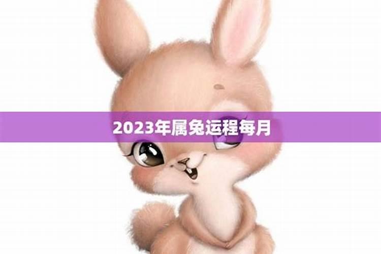 2023属兔运程如何