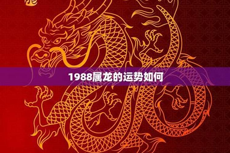 1988年2023年运势财运