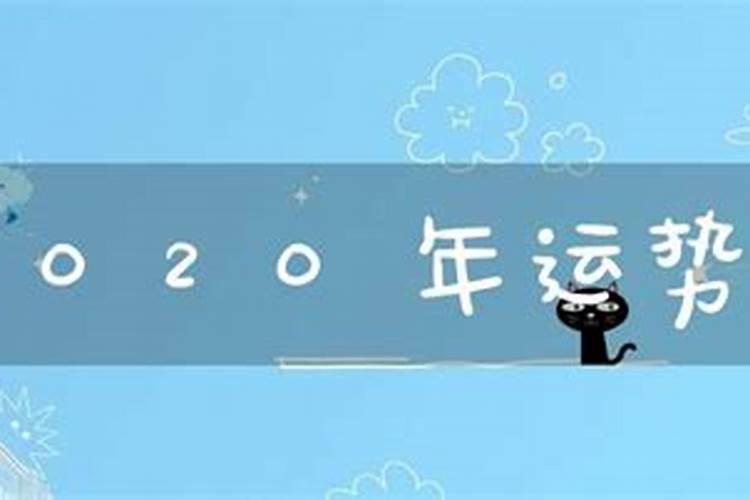 马属2020年运势