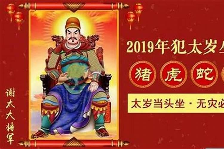 2019年属什么生肖犯太岁