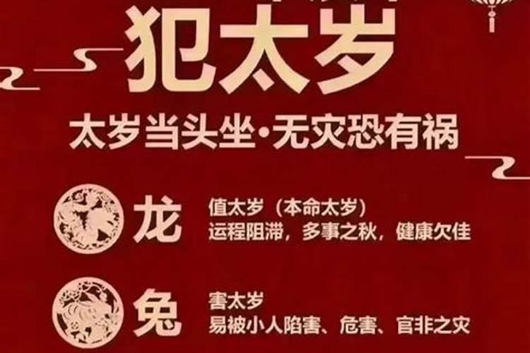 属猪的2024年龙的运势运程如何