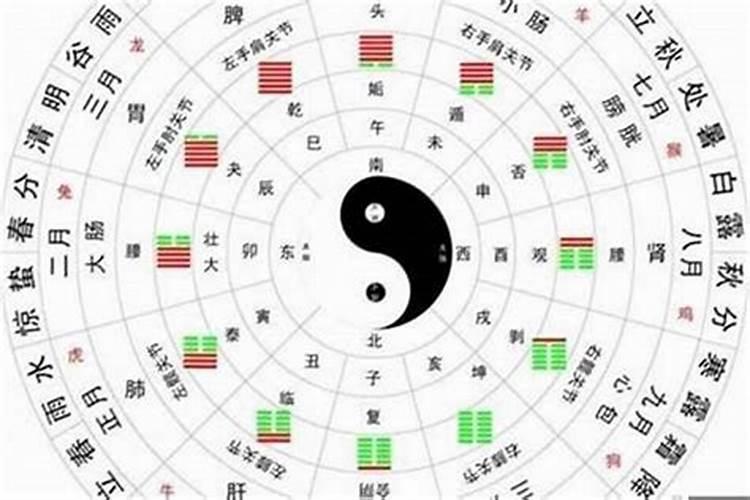 2024犯太岁的属相都是什么