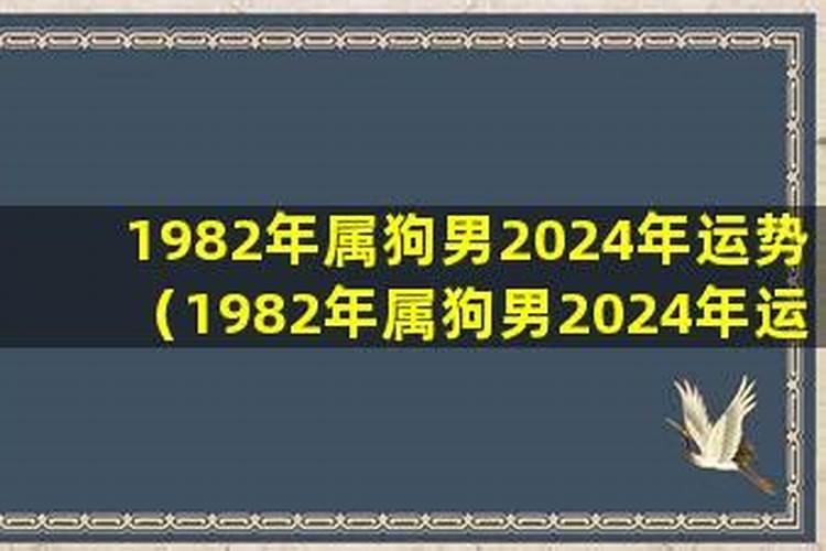 2023年生肖狗女性运势如何样呢