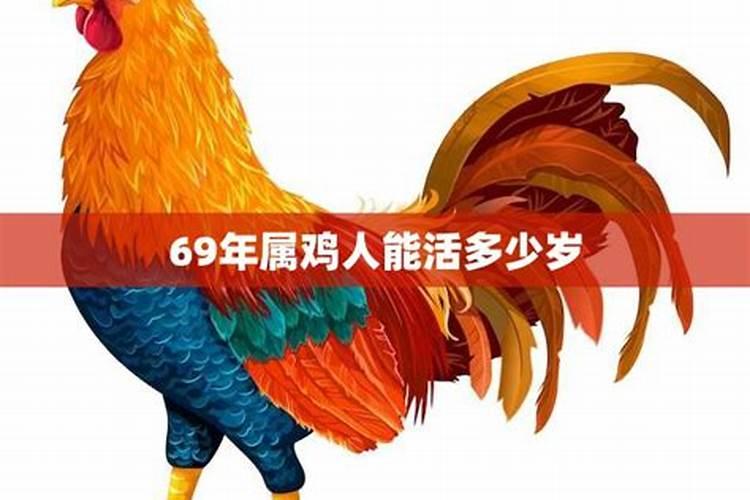 69年出生属鸡今年逐月运程