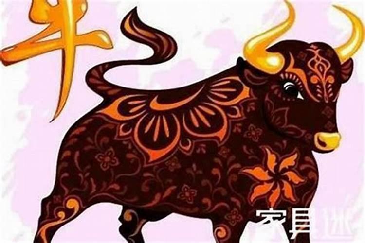 属牛的今年运势怎么样2023年