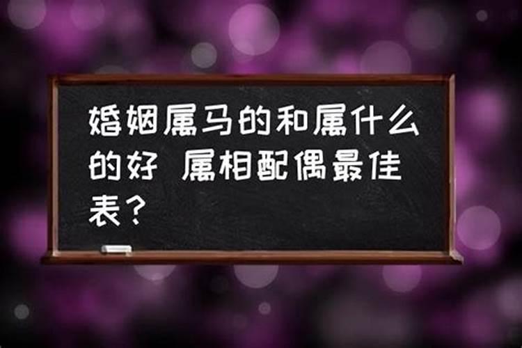 女属马婚姻配属什么最佳配偶