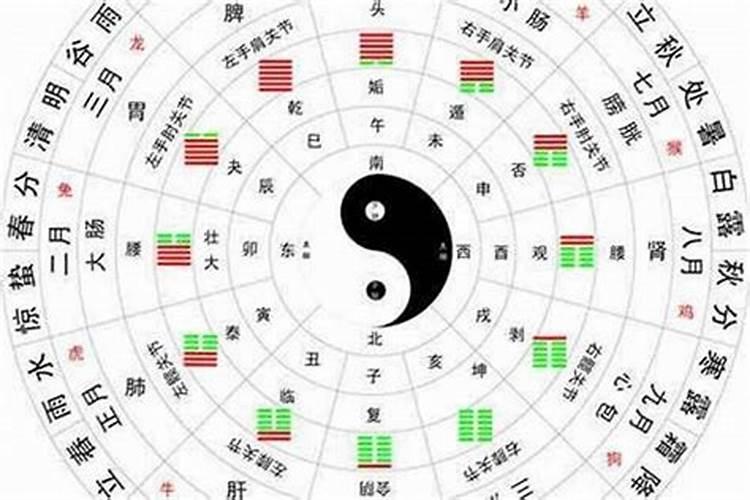 八字合婚看天干还是地支