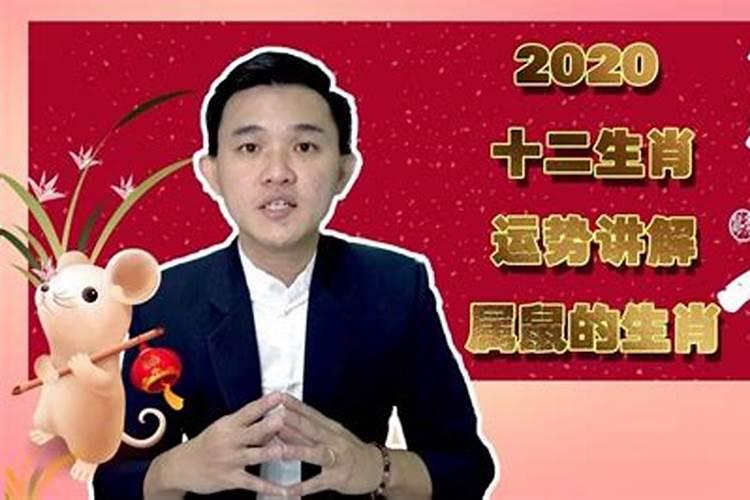 鼠运势2020运势详解