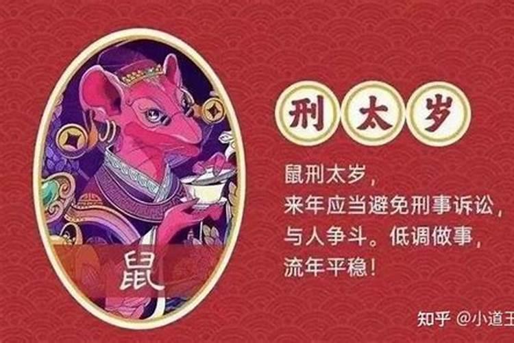 属鼠的今年犯小人怎么办