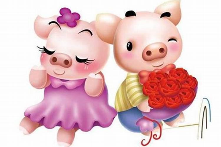生肖猪和猪结婚好不好