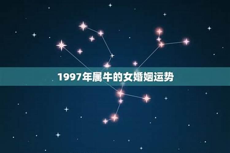 1997年牛女2021年婚姻如何