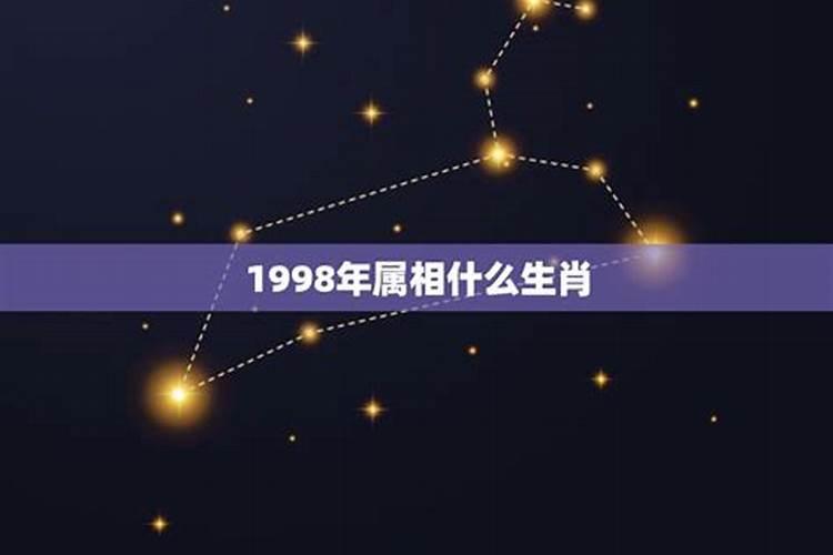 1998年属虎的和1997年属牛的婚姻