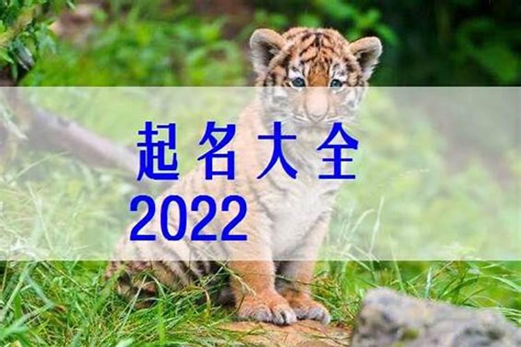 2022年几月生孩子属虎宝宝