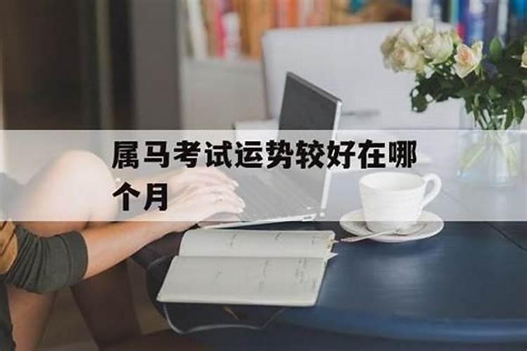 属马的今年运气如何学生考试如何