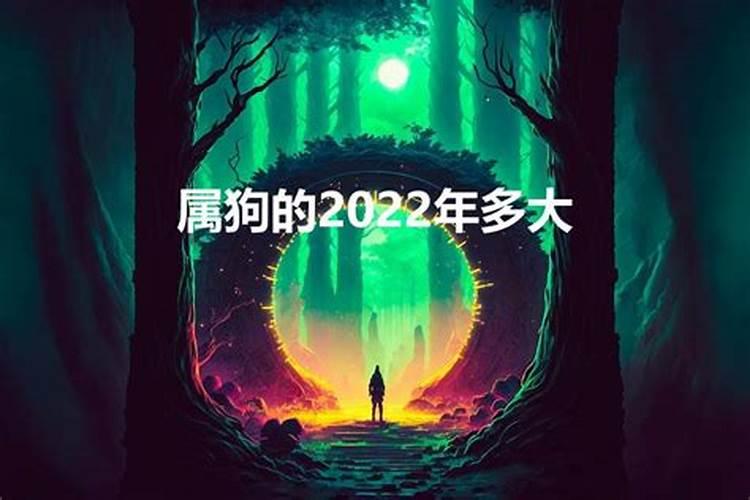 1994年属狗的2022年的命运如何