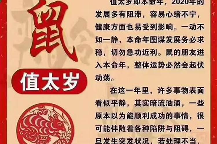 为什么属龙在鸡年运势不好