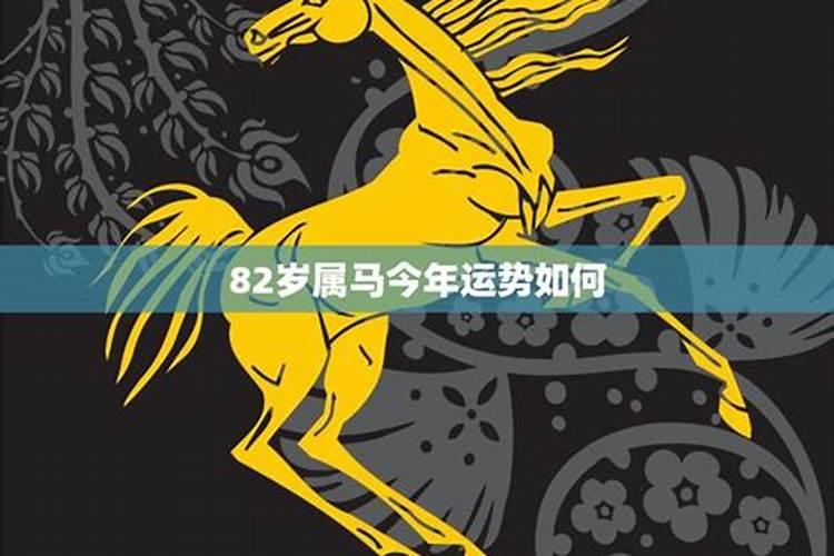 属马今年婚姻运势如何2022