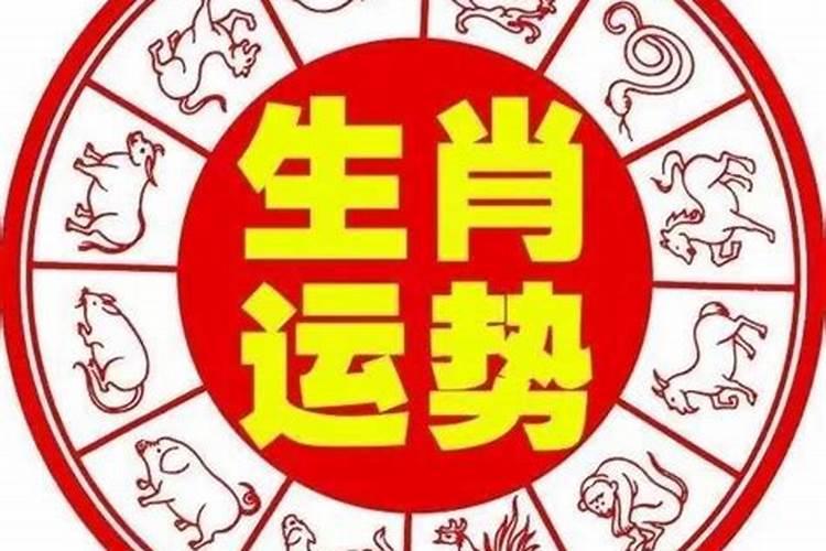 属马人2021年农历七月运势