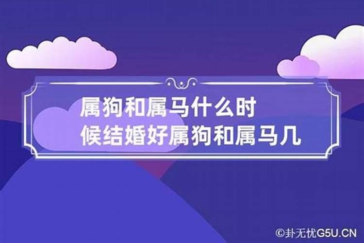 属马的和属狗的什么时候结婚好