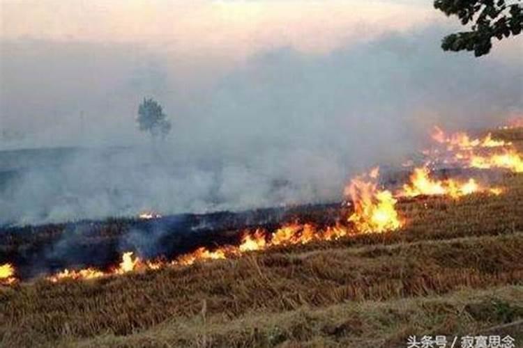 梦见坟地起火自己救火