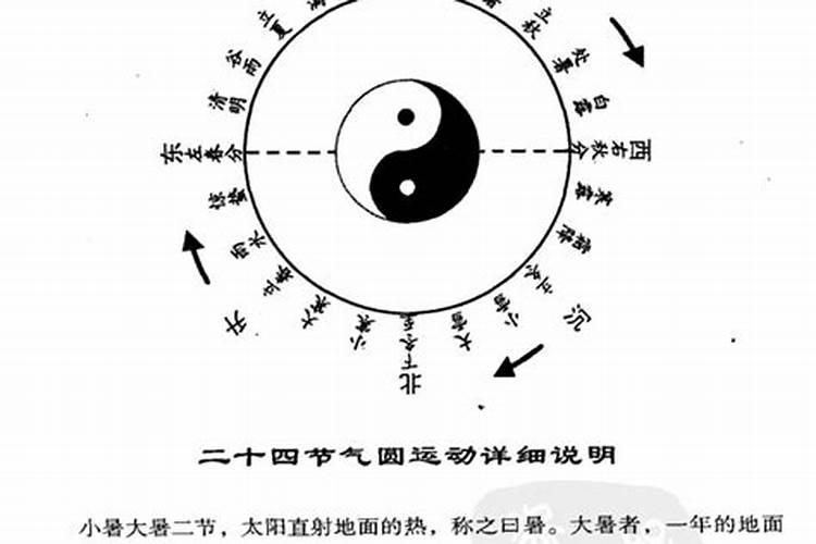 梦见家里有老鼠和猫