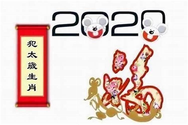 1996年鼠在2024年运程