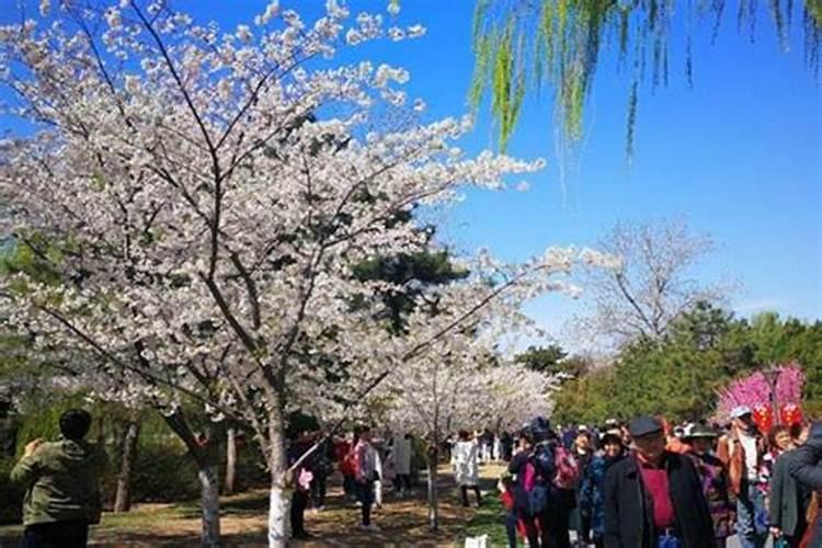 北京清明节哪里好玩的景点