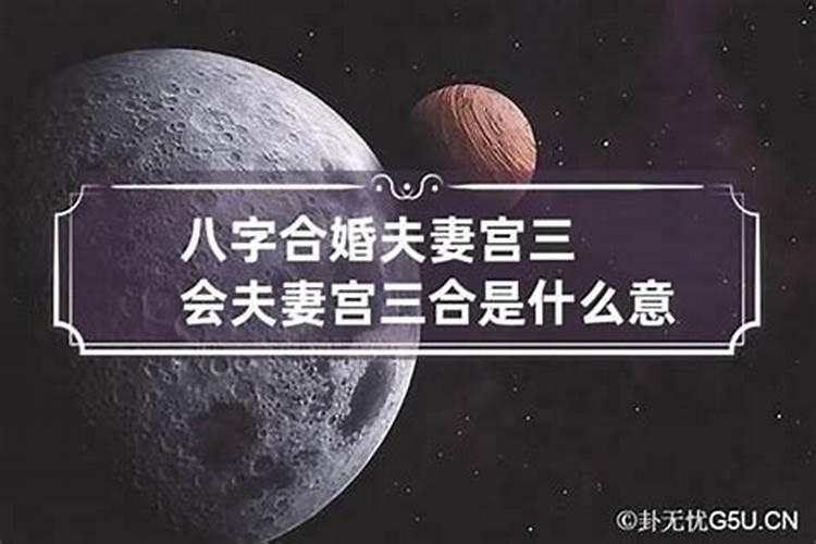 什么叫八字三会三合