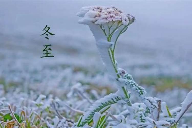 浦北文昌塔多少钱门票