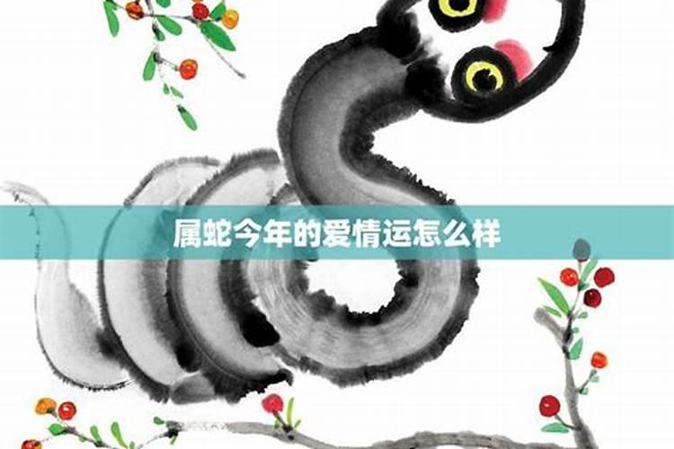 八字看妻子家庭背景好不好怎么看