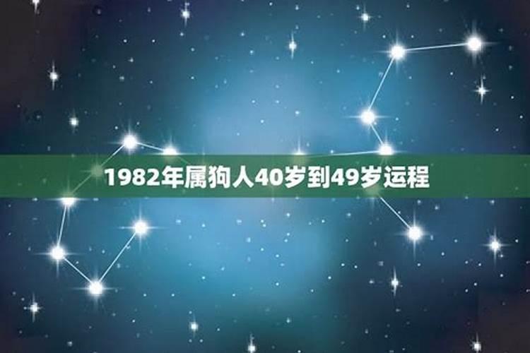 属狗2023年运势及运程1982年出生